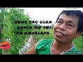 Paano Ang Tamang Paraan Ng Pag -aalaga Ng Ampalaya Kung Tag-ulan