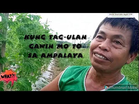 Video: Paano Makatipid Sa Iyong Bakasyon Sa Tag-init