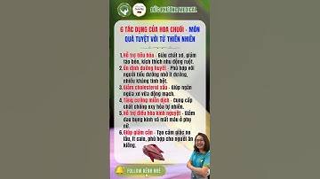 6 Tác Dụng Của Hoa Chuối – Món Quà Tự Nhiên Tốt Cho Tim Mạch, Tiểu Đường, Giảm Cân