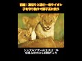 前編：裏切りと逃亡―母ライオン子を守り独りで獅子王に抗う#犬 #動物世界 #動物 #面白い #funny