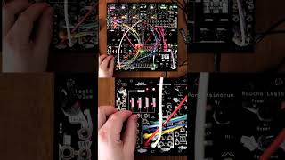 Noise Engineering Multi Repetitor - Eurorack Module on ModularGrid