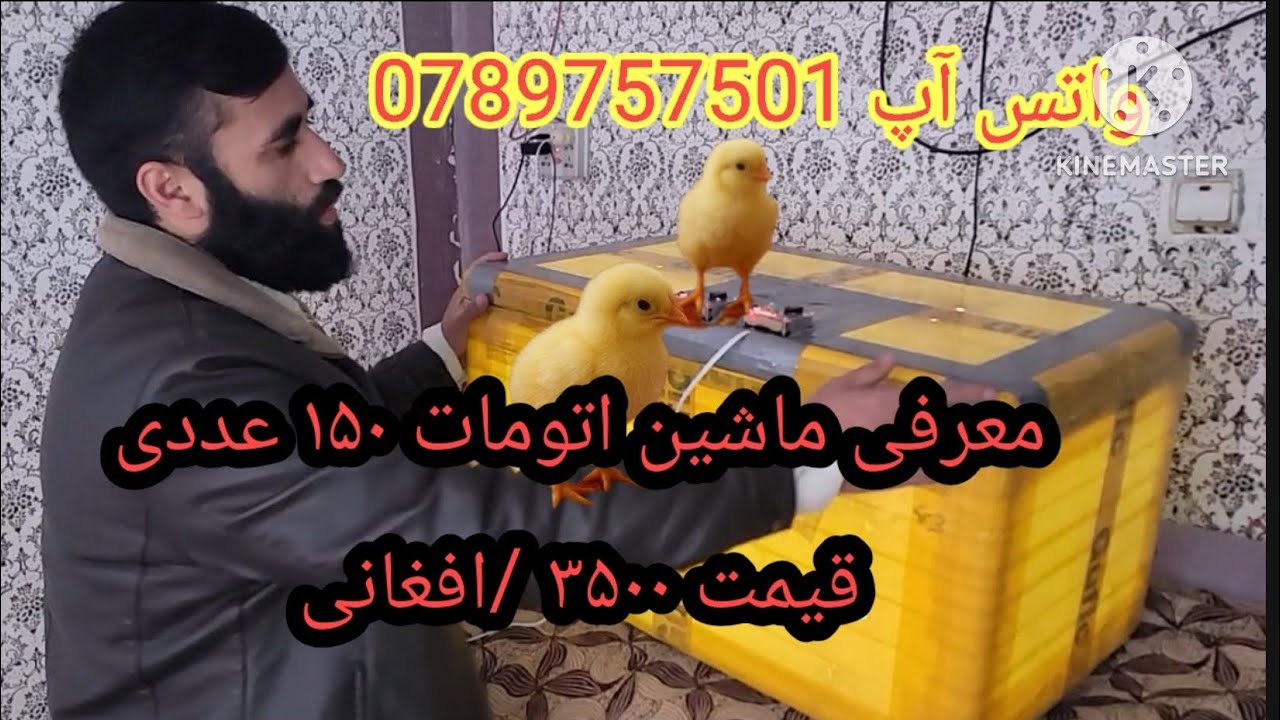 معرفی ماشین اتومات ۱۵۰ عددی واتس آپ ۰۷۸۹۷۵۷۵۰۱