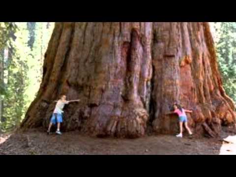 The Guess Who-  "Share The Land"