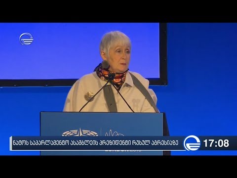 ნატოს საპარლამენტო ასამბლეის პრეზიდენტი რუსულ აგრესიაზე