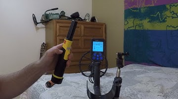 Does The Nokta Pin Pointer Make The Simplex Chatter?