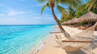 🐦Perfect Morning on a Tropical Beach 🌊☀️ Ocean Waves, Birdsong & Positive Energy