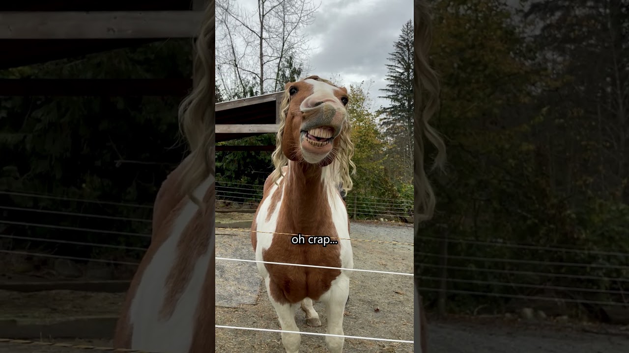 Just A Couple Natural Blondes! 💁🏼‍♀️🤫 