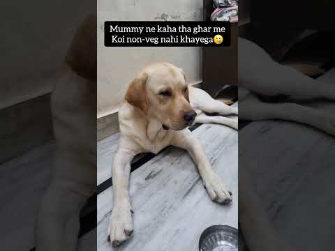 Hamara bhondu baccha😂😂#comedy video #shorts #ytshorts #viral #trending video
