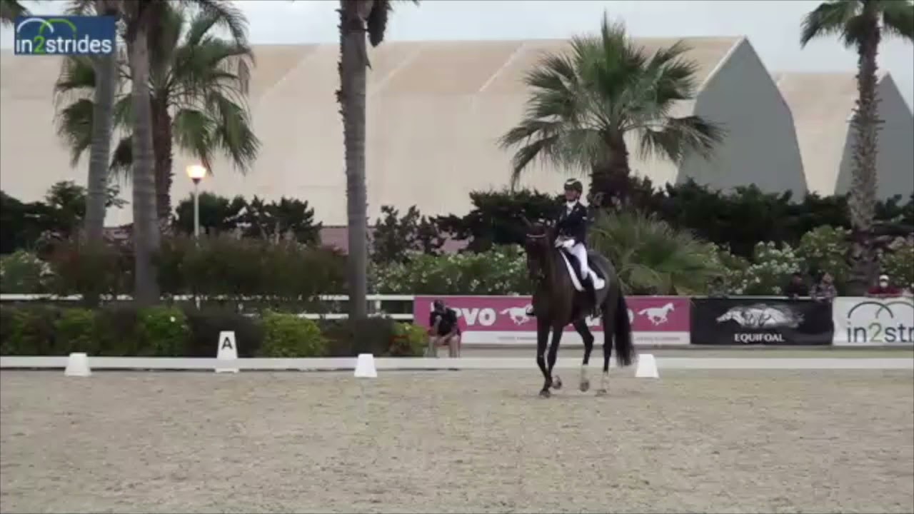 Elegance blessé