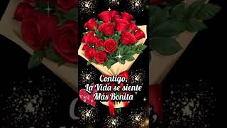 Rosas Rojas