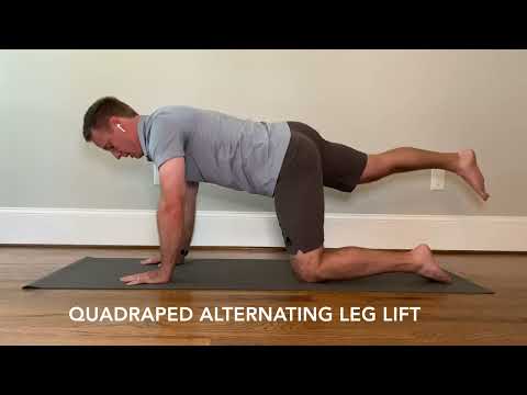 Quadruped Alternating Leg Lift