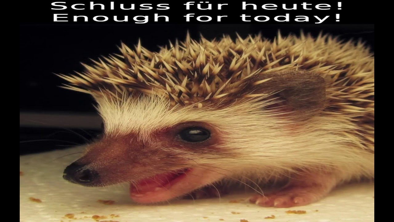 Honki Tonk´s Zivilisationen [Ada] [Eng|Ger]