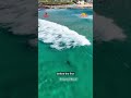 Shark drone concerns after surfer's close call