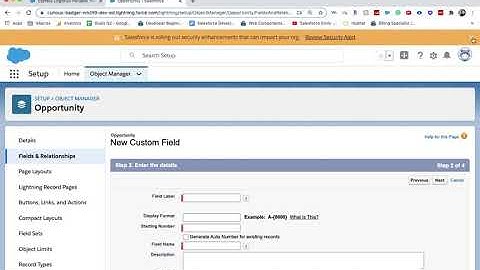 [Salesforce] HOW TO ADD AN AUTO NUMBER FIELD
