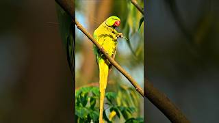 This Is The Cutest Eating Ever