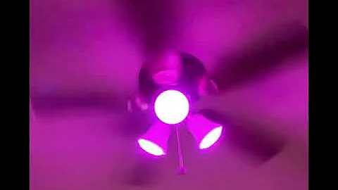 Feit Electric Smart Light Bulbs with RGB Color Changing and Tunable White, 2.4Ghz WiFi Light Bulbs,