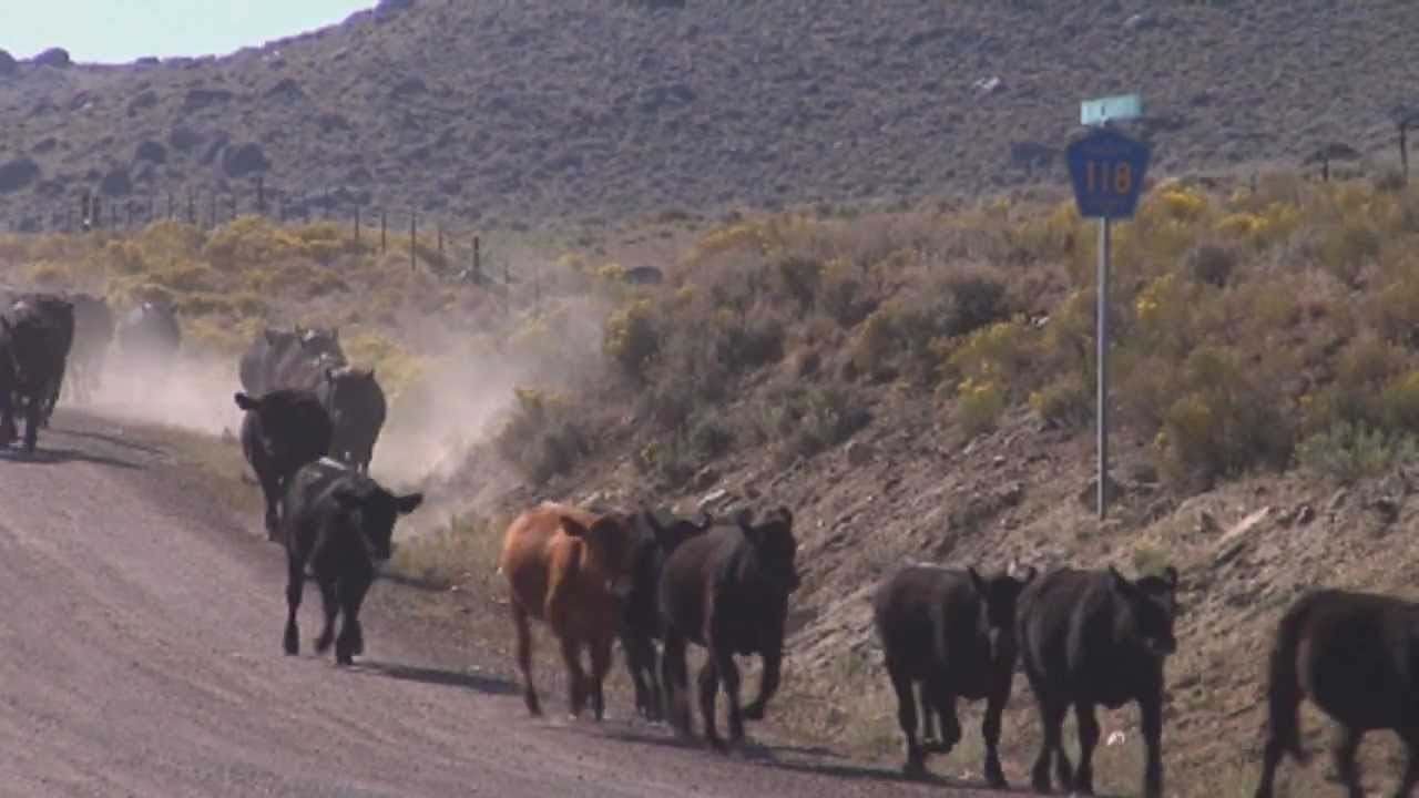 THE TRAILER for "Wyoming Signatures" celebrating 150 years of the Land Grant Act