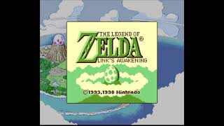 Link's Awakening DX [Super Game Boy]