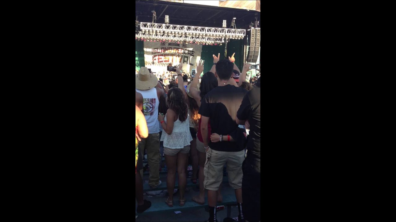 Hawaiian reggae festival