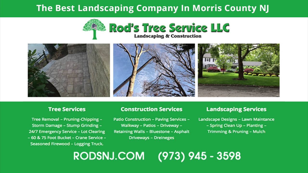 Tree Trimming In Kinnelon NJ