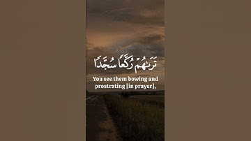 ﴿ مُّحَمَّدٌ رَّسُولُ اللَّهِ ۚ الآيه29 من سورة الفتح بصوت الشيخ ياسر الدوسري