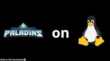 Paladins is playable on Linux now