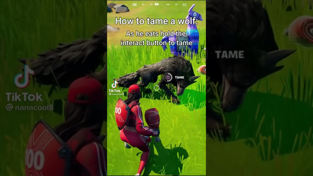 How to TAME a wolf in Fortnite!