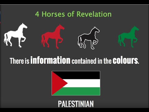 The Colors of the Four Horsemen and Information Contained in Each