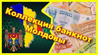 Моя коллекция банкнот Молдовы 🇲🇩/ My collection banknotes of Moldova 🇲🇩