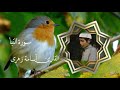 سورة النبأ للقارئ الصغير أسامة زهري