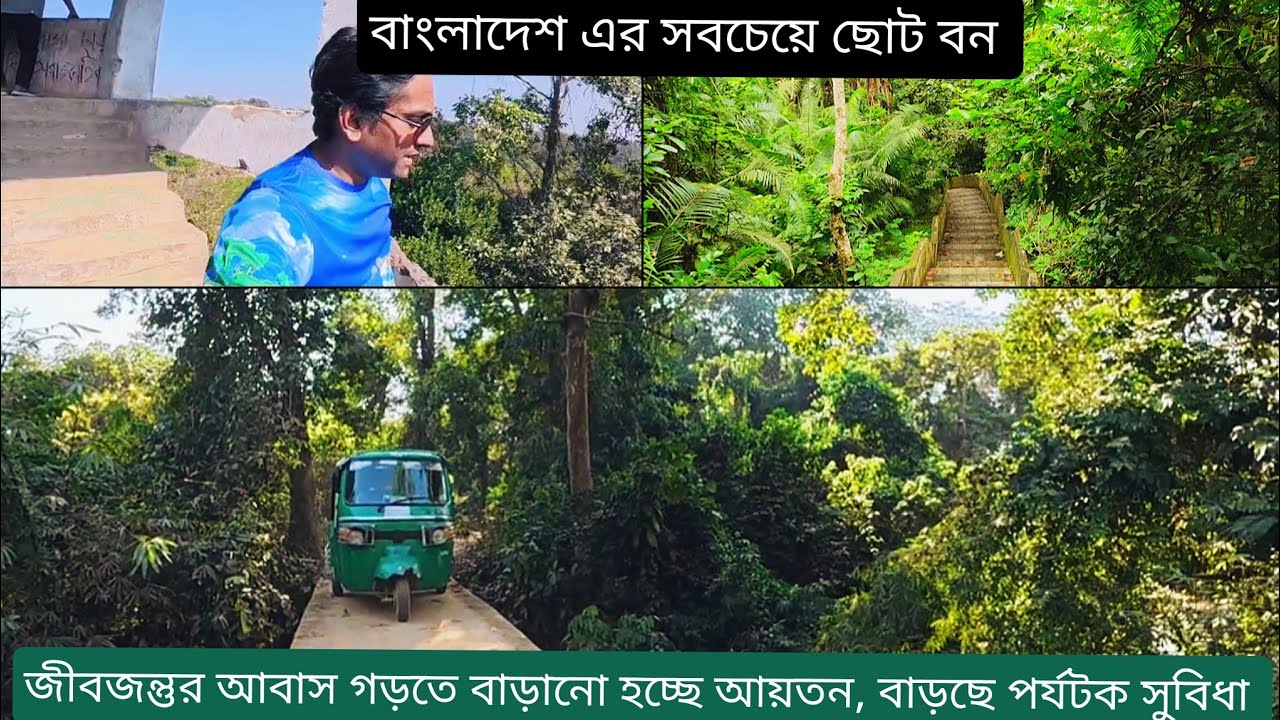 বন্যপ্রাণীর অভয়ারণ্য-জীবজন্তুর আবাসস্থল যে উদ্যানের আয়তন বৃদ্ধি করা হচ্ছে | Satchari National Park