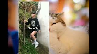 Anırarak Güldüğüm Videolar Pt 3En Komi̇k Olani