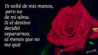 Te solté, pero nunca dejé de amarte 