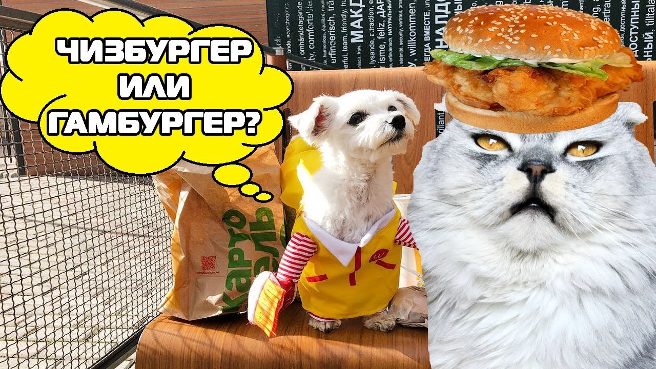 Лепота Тв Новые Серии 2022 Года