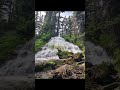 Hiking Little Zigzag Falls Trail in Oregon
