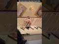 Stairs Were Actually Fake #shorts #shortvideo