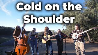 Cold on the Shoulder - Gordon Lightfoot (Earth Tones Cover)