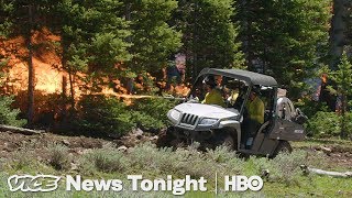 Watch The Forest Service Burn Down A Forest For Science