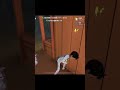 【第五人格】地雷ドンオフェがやばすぎる・・・ #Shorts【IdentityV】