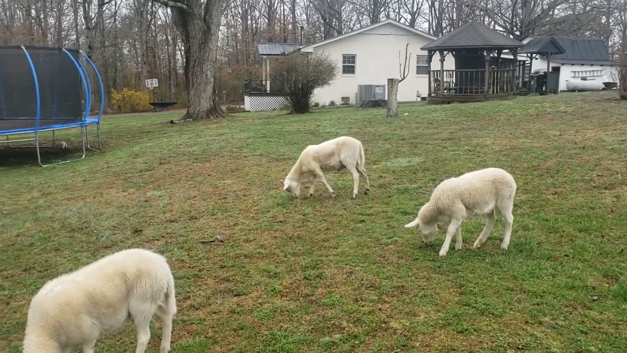 JESUS LOVES YOU 😇🙏😍✌