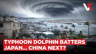 Typhoon Dolphin Slams Southern Japan 260 000 Evacuated As China Braces For Impact VERTEX