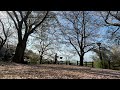 キャメル/くるり
