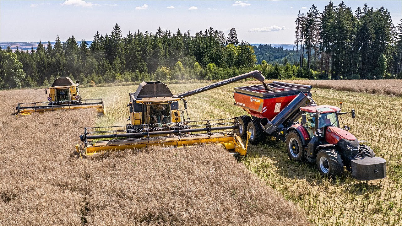 💛2x New Holland CX8.80🖤 & ❤️Case Optum 270 + Perard X-Flow 34❤️| Žně řepky 2024 |