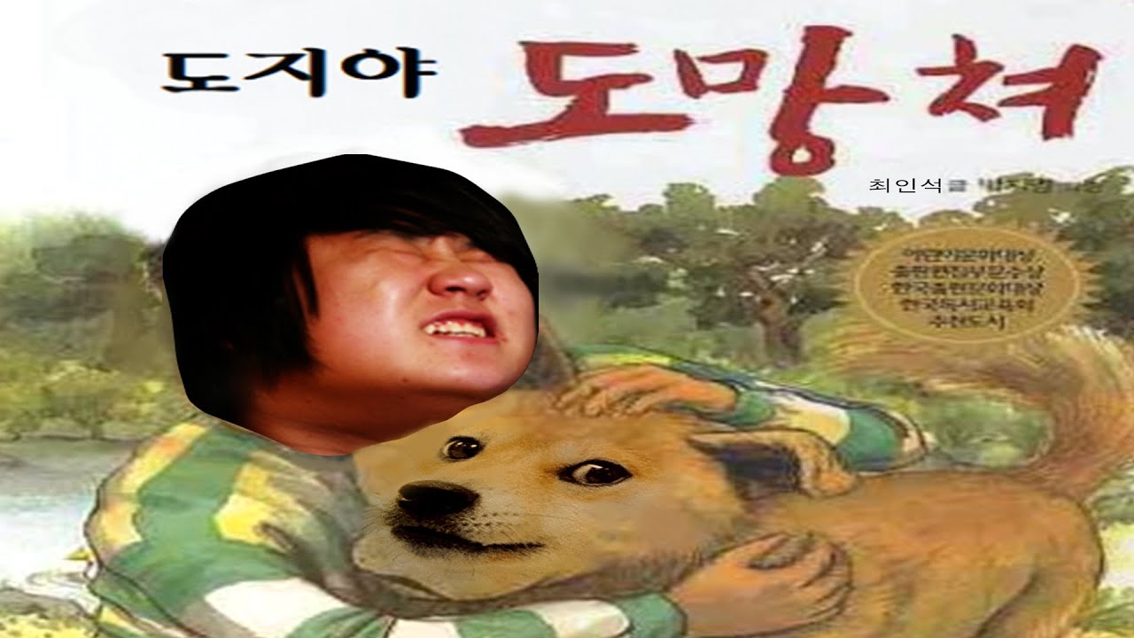 대회 중계 도중 도지코인이 떡락할 때