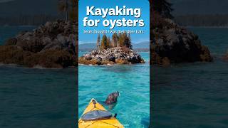 Mission: Oyster Island on the Sunshine Coast of BC – escorted by seals.