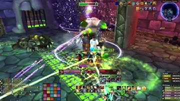 Grobbulus 25 Man Retribution Paladin POV