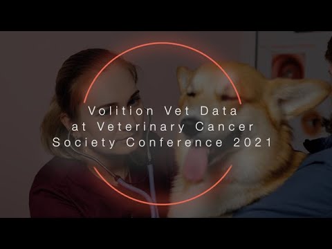 Volition Veterinary Presents Two Posters at the 2021 Veterinary Cancer Society Conference