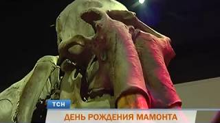 В Перми отметят 90-летний юбилей знаменитого Пермского мамонта