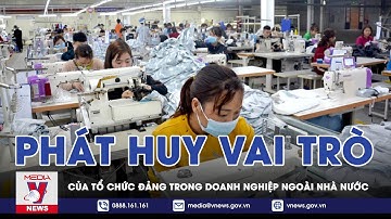 Phát Huy Vai Trò Của Tổ Chức Đảng Trong Doanh Nghiệp Ngoài Nhà Nước - VNEWS