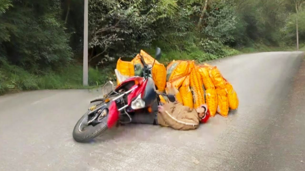 From Hopeless To Saved — You Won’T Believe This Rescuethis Scene Stopped Everyone